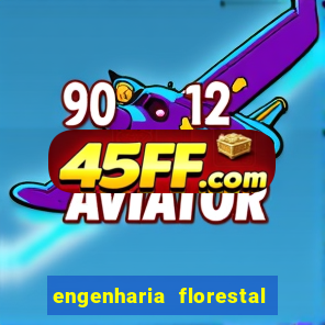 engenharia florestal ead cruzeiro do sul